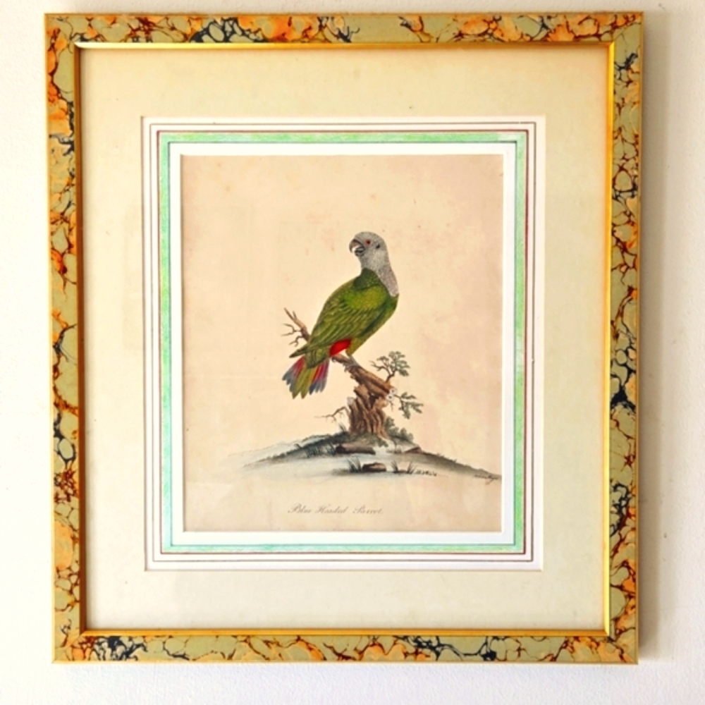 Rare Late-18th Century c.1794 English Georgian Hand-Colored Engraving, Wm Hayes